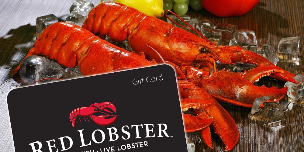 Red Lobster Gift Card 2020 Let S Dive Into Delicious Sea Foods